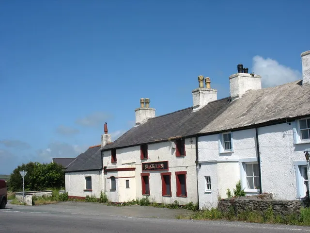 Photo of Black Lion